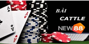 Luật chơi game bài catte cơ bản người chơi mới nên tìm hiểu