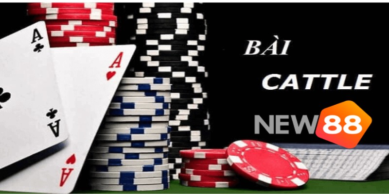 Luật chơi game bài catte cơ bản người chơi mới nên tìm hiểu