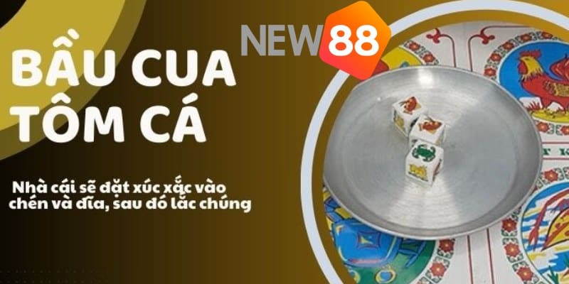 Tìm hiểu kỹ hơn về luật chơi bầu cua tôm cá