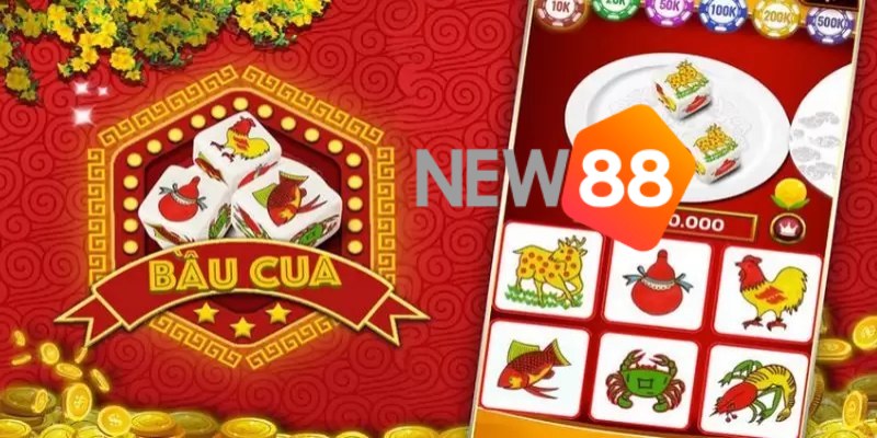 Người mới nên nắm thật rõ quy luật trò chơi