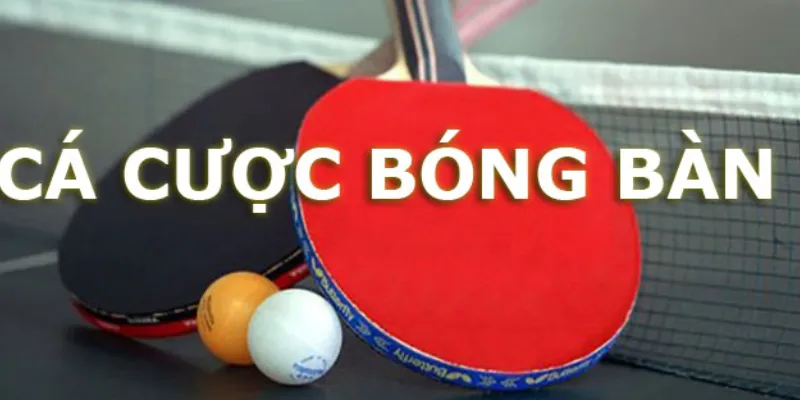 Nắm vững quy tắc và điều kiện cá cược bóng bàn