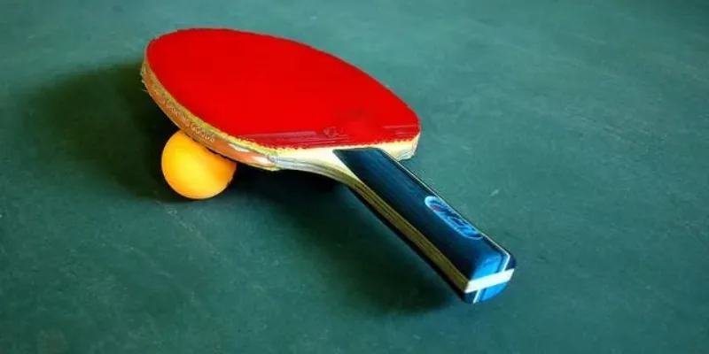 Những loại cược bóng bàn được ưa chuộng