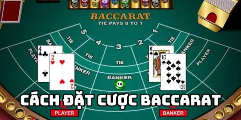 Chi tiết cách đánh Baccarat cho người mới bắt đầu