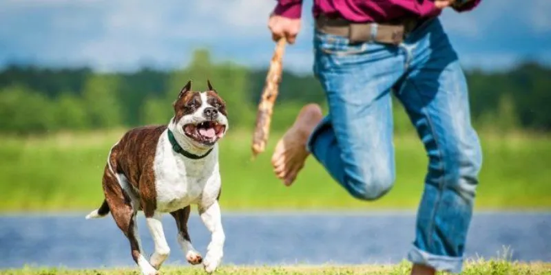 Biểu hiện của nỗi sợ hãi trong giấc mơ