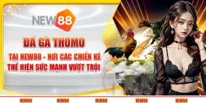 Đá gà Thomo tại New88 - Nơi các chiến kê thể hiện sức mạnh vượt trội