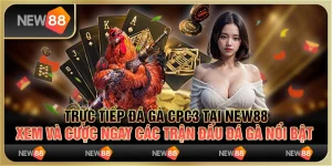Trực Tiếp Đá Gà CPC3 tại New88 - Xem và cược ngay các trận đấu đá gà nổi bật