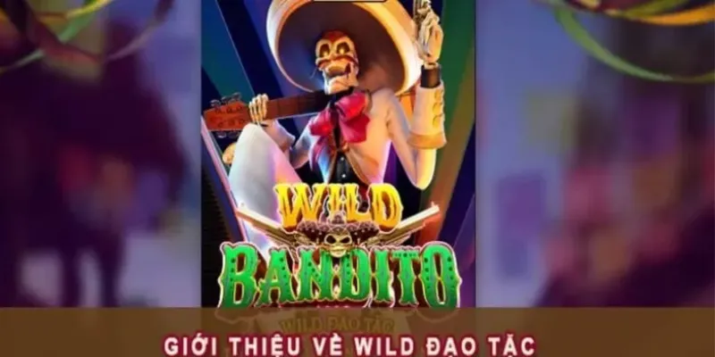 Các tính năng nổi bật trong Wild Đạo Tặc