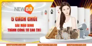 5 Cách chơi bài mậu binh thành công từ cao thủ