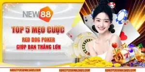 Top 5 mẹo cược Red Dog Poker giúp bạn thắng lớn