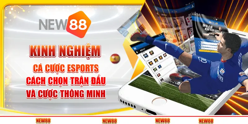 Đá gà cựa sắt live tại New88 - Cảm giác kịch tính trong từng trận đấu