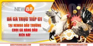 Đá gà trực tiếp C1 tại New88 – Đấu trường chọi gà hàng đầu hiện nay