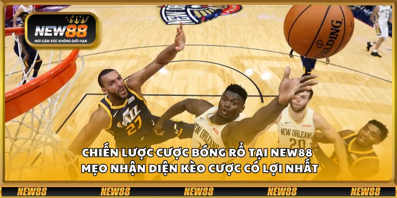 Chiến lược cược bóng rổ tại New88 – Mẹo nhận diện kèo cược có lợi nhất
