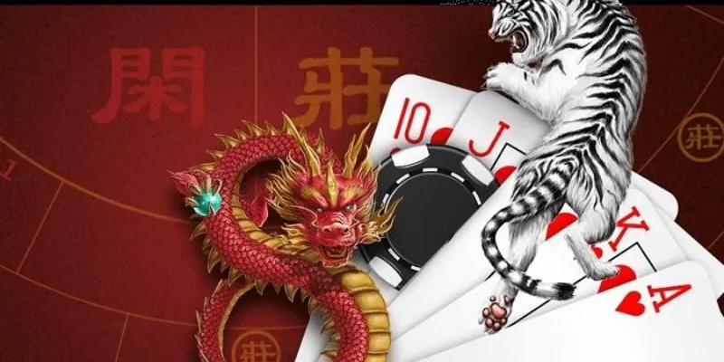 Bí quyết chơi Dragon Tiger nào giúp bạn thắng liên tiếp?